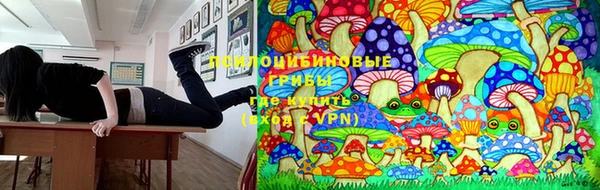 гидра Баксан