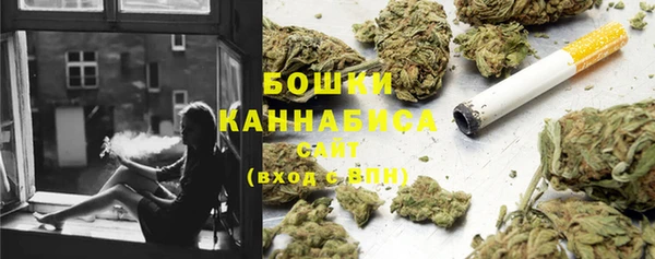 гидра Баксан