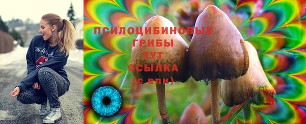 гидра Баксан