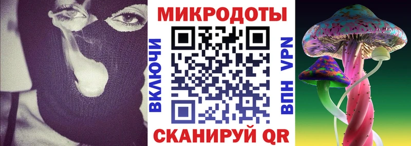 Псилоцибиновые грибы Psilocybine cubensis  Лебедянь 